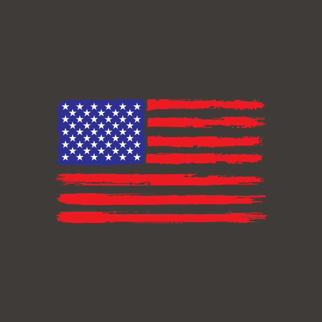 American Flag Collection - Keeko Designs